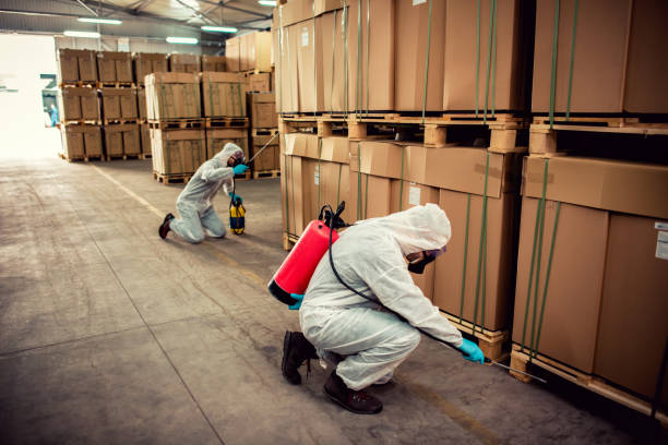 Flea Control Services in Lincoln University, PA