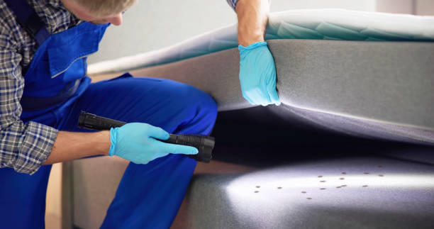 Best Emergency Pest Control  in Lincoln University, PA