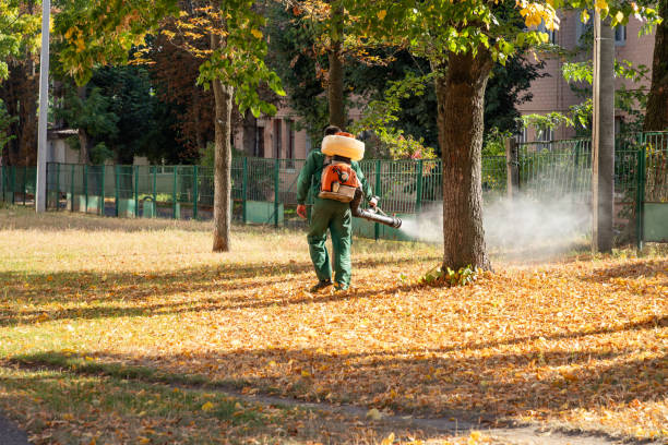 Best Termite Control Services  in Lincoln University, PA