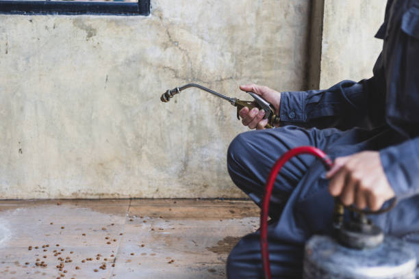 Best Exterminator Services  in Lincoln University, PA